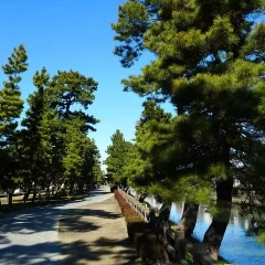 「草加」といえば…